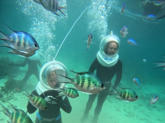 シーウォーカーツアー  泳げなくてもOK！ボートで行く熱帯魚と海中散歩＜写真データ無料付き／約1.5時間／2～4名／10歳～／石垣島＞