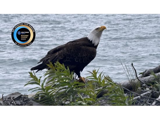 アラスカ周遊10泊11日　デナリ国立公園＆ランゲル・セントイライアス国立公園　氷河カヤックツアー付き！＜キャンプ泊／7月／英語ガイド／アンカレッジ発＞
