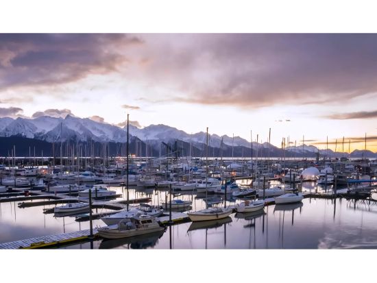 アラスカ周遊10泊11日　デナリ国立公園＆ランゲル・セントイライアス国立公園　氷河カヤックツアー付き！＜キャンプ泊／7月／英語ガイド／アンカレッジ発＞