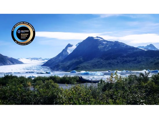 キーナイ・フィヨルド国立公園3泊4日　美しい氷河や野生動物を観察！＜キャンプ泊／7月／英語ガイド／アンカレッジ発＞