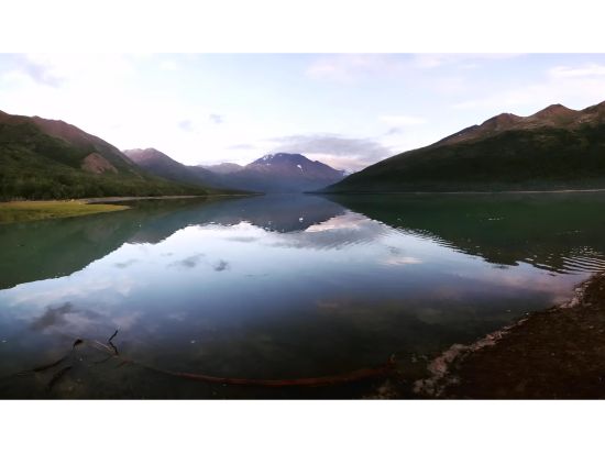 キーナイ・フィヨルド国立公園3泊4日　美しい氷河や野生動物を観察！＜キャンプ泊／7月／英語ガイド／アンカレッジ発＞