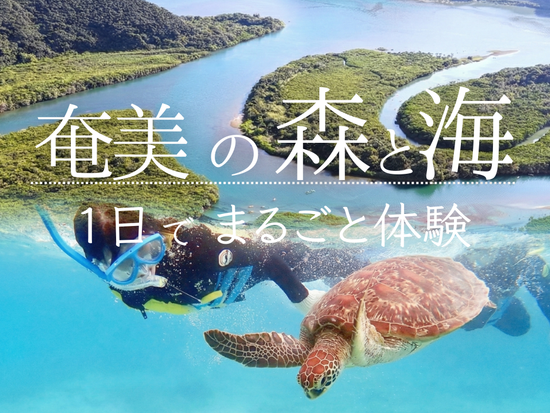 1日ツアー-奄美の森と海1日でまるごと体験