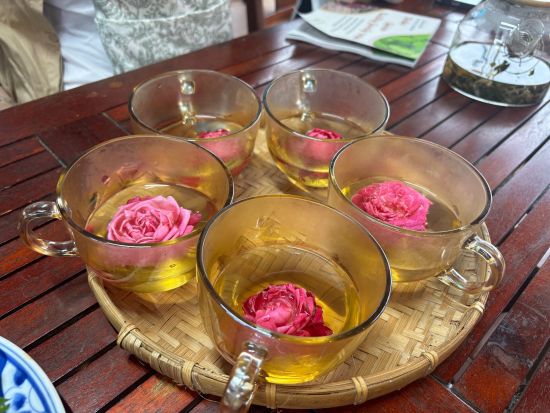 ホイアン癒しと伝統文化体験1日ツアー ～オーガニックハーブティー体験＆ランタン体験～//日本語ガイド//ダナン市内のラウンジ利用可能