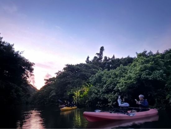 【早朝】ピナイサーラの滝カヤック＆トレッキングツアー 静寂のマングローブ探訪＜約4時間／1～7名／送迎可／写真プレゼント＞
