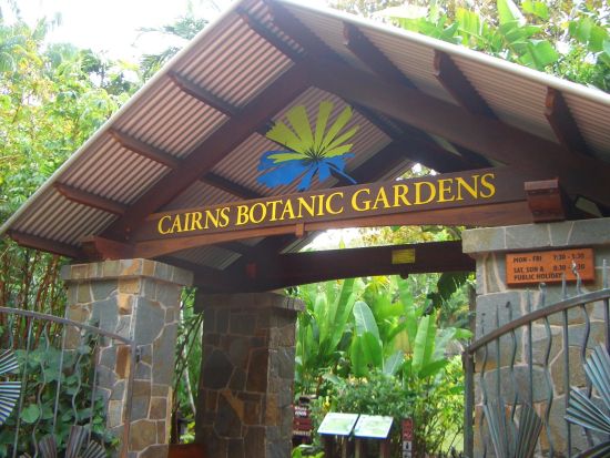 ケアンズ半日観光ツアー　到着日の参加もOK◎野生ワラビー観察＆バンジージャンプ台見学！＜午前＞ by どきどきツアーズ