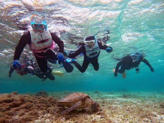 ウミガメシュノーケリング2023_006