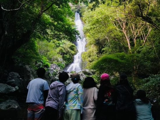 奄美大島1日自然体験ツアー ウミガメシュノーケリング＋マングローブカヌー＋滝めぐり満喫プラン＜約8時間／住吉町＞by OCEANZ