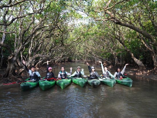 mangrove_canoe_compressed