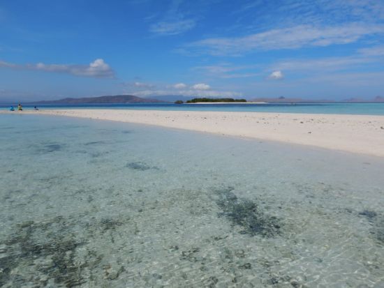 【混載】スピードボートで行く格安コモド島1泊2日ツアー コモド島＋パダール島＋ピンクビーチ＋マンタ＆ウミガメシュノーケル＜バリ発／日本語ガイド＞