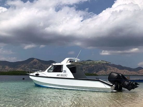 【混載】スピードボートで行く格安コモド島1泊2日ツアー コモド島＋パダール島＋ピンクビーチ＋マンタ＆ウミガメシュノーケル＜バリ発／日本語ガイド＞