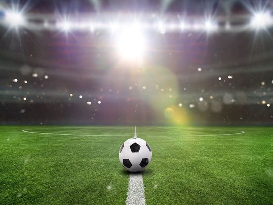 shutterstock_2472801473