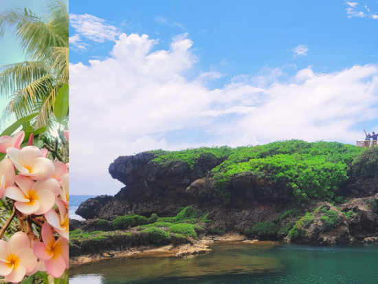 旅する人がつくる、あなただけのグアム島一日旅＜貸切チャーター／政府公認日本語女性ガイド＞