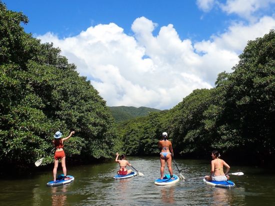 マングローブSUP＋由布島観光　ジャングルのSUPクルーズ&水牛車にも乗れる人気セットツアー＜竹富町観光案内人条例認定店／大原港・島内ホテル無料送迎／西表島＞