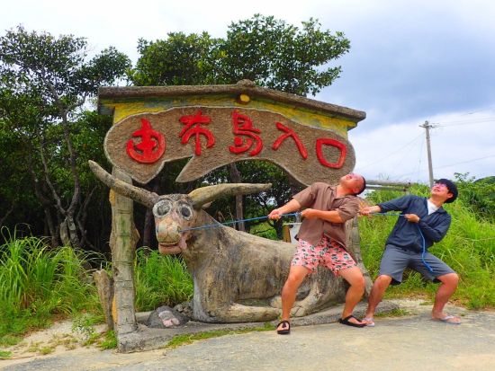 マングローブSUP＋由布島観光　ジャングルのSUPクルーズ&水牛車にも乗れる人気セットツアー＜竹富町観光案内人条例認定店／大原港・島内ホテル無料送迎／西表島＞