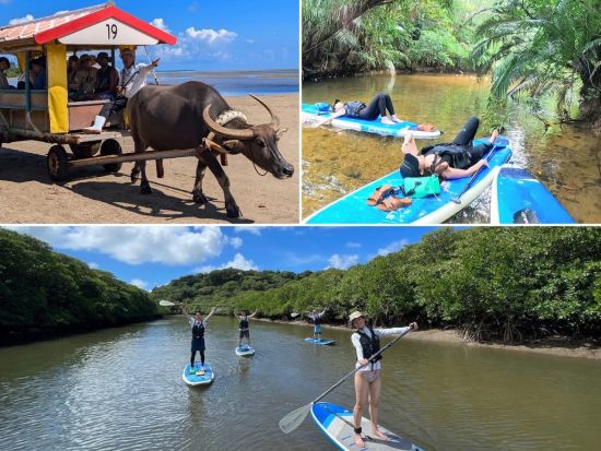 マングローブSUP＋由布島観光　ジャングルのSUPクルーズ&水牛車にも乗れる人気セットツアー＜竹富町観光案内人条例認定店／大原港・島内ホテル無料送迎／西表島＞