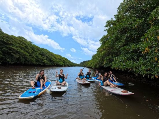 マングローブSUP＋ゲータの滝トレッキングツアー　マングローブ、滝、ジャングルなど西表島の自然で心解き放つアクティブ体験＜大原港・島内ホテル無料送迎／西表島＞