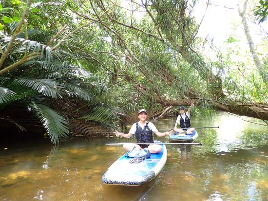 １０ゲーダ