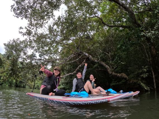 マングローブSUP＋ゲータの滝トレッキングツアー　マングローブ、滝、ジャングルなど西表島の自然で心解き放つアクティブ体験＜大原港・島内ホテル無料送迎／西表島＞