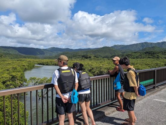 シイラ川マングローブSUP　半日コースで気軽にマングローブジャングルを満喫　小学生から参加OK！＜竹富町観光案内人条例認定店／大原港・島内ホテル無料送迎＞
