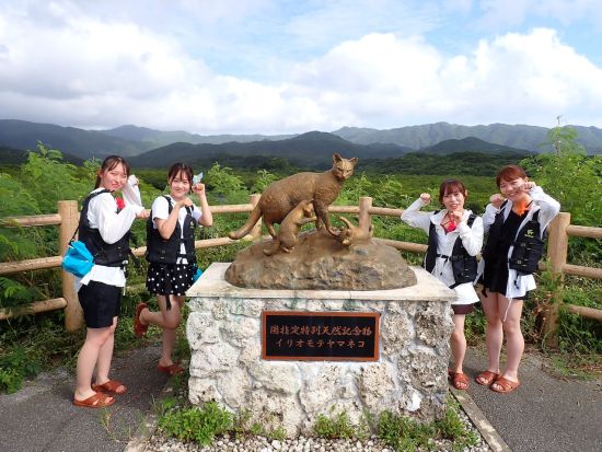 シイラ川マングローブSUP　半日コースで気軽にマングローブジャングルを満喫　小学生から参加OK！＜竹富町観光案内人条例認定店／大原港・島内ホテル無料送迎＞