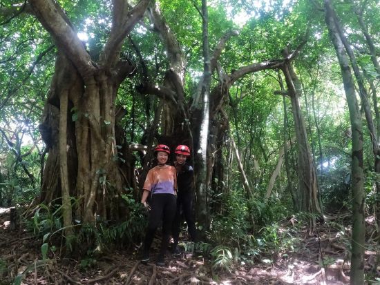 【貸切】SUPガイドと行くプライベートツアーマングローブSUPを軸に自由にカスタマイズして西表島を遊び尽くす＜大原港または送迎あり／西表島＞