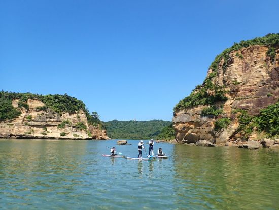 【貸切】SUPガイドと行くプライベートツアーマングローブSUPを軸に自由にカスタマイズして西表島を遊び尽くす＜大原港または送迎あり／西表島＞