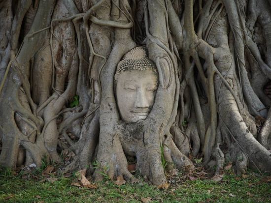 古都アユタヤ4大遺跡巡り日帰りツアー　世界遺産満喫＆タイ料理ビュッフェ付＜バンコク発／日本語ガイド／昼食付き＞