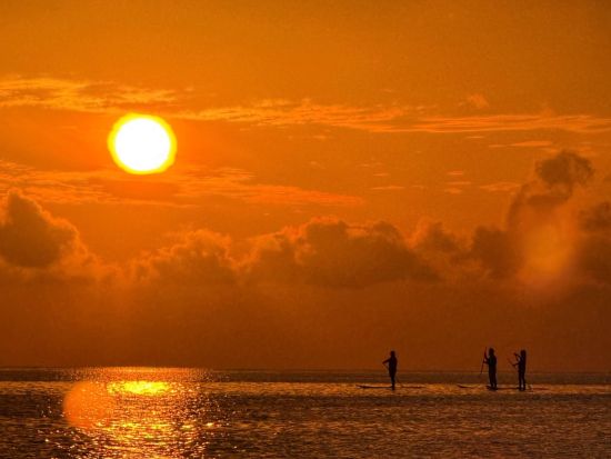 世界自然遺産サンライズSUP 日常を抜け出すご褒美朝活体験＜西表島滞在者限定／一部島内ホテル無料送迎／竹富町観光案内人条例認定店／西表島＞