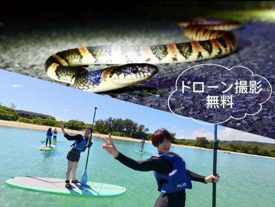 奄美大島〈お得なセットプラン〉【SUP+ナイトツアー】透明度抜群の奄美ブルーを大満喫！ドローン・ゴープロ撮影無料！お一人様も可能by 奄美シーランド