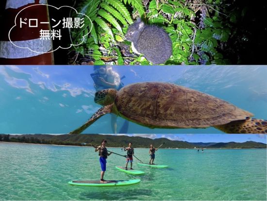 奄美大島〈お得なセットプラン〉【SUP+シュノーケル+ナイトツアー】美しい白浜が広がる奄美大島！お一人様も可能ｂｙ奄美シーランド