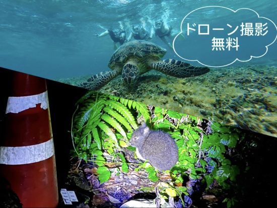 奄美大島〈お得なセットプラン〉【シュノーケル+ナイトツアー】世界遺産認定の島！ドローン・ゴープロ撮影無料！お一人様も可能by 奄美シーランド