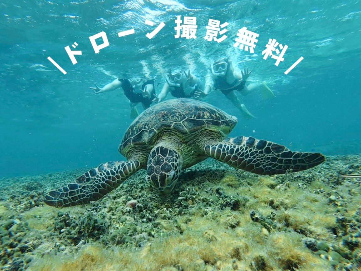 絶海：奄美大島海水マベリング 奄美大島【シュノーケリング60/90分】奄美大島の美しい水中世界を楽し