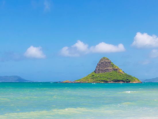 shutterstock_1196654689 (1)