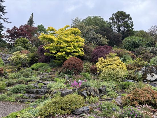 ウィンダミア発：湖水地方観光ツアー　名所巡りと英国文化体験 ＜日本語または英語ガイド／コッツウォルズ日帰り観光付きプランもあり＞