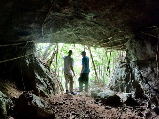 奄美大島 宇検村 貸切カルチャーツアー 亜熱帯ジャングル散策と黒糖焼酎テイスティング＜昼食付／1日＞