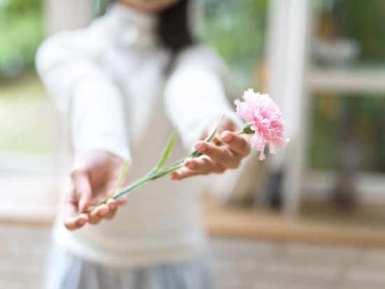 金沢発着日帰りバスツアー 母の日記念！鯖江西山公園つつじ5万株と福井名物昼食満喫＜4～5月／福井＞