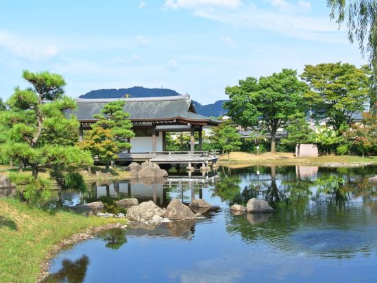 金沢発着日帰りバスツアー 母の日記念！鯖江西山公園つつじ5万株と福井名物昼食満喫＜4～5月／福井＞