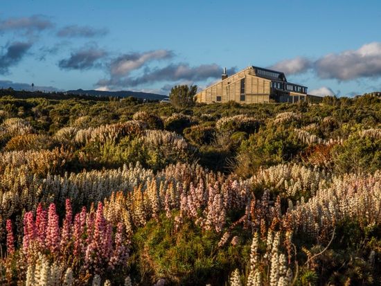 LOWRES - HR - Thousand Lakes Lodge - Jan17 - (c)Chris Crerar-2916