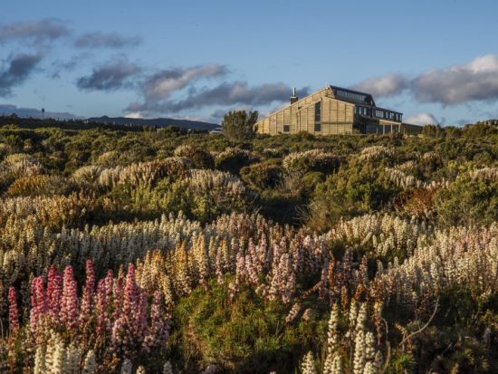【3泊4日】タスマニアの大自然を満喫！エコ認定を受けたサステナブルツアー＜英語ガイド／ホバート発＞