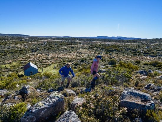 【3泊4日】タスマニアの大自然を満喫！エコ認定を受けたサステナブルツアー＜英語ガイド／ホバート発＞