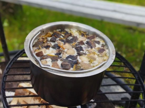 ベリー＆キノコ狩りと焚き火スープ作り体験 ＜昼食付き／英語ドライバーガイド／ロヴァニエミ発＞