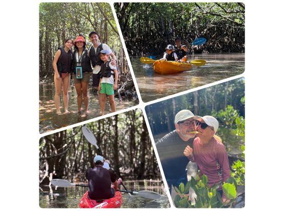 【1組貸切】吹通川マングローブカヤックツアー 高画質4K写真を無料プレゼント！＜石垣島／約2時間＞