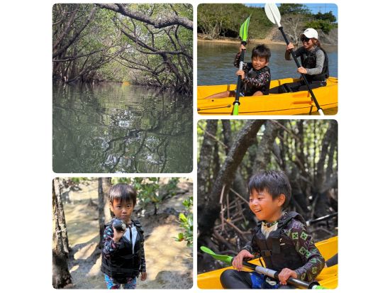 【1組貸切】吹通川マングローブカヤックツアー 高画質4K写真を無料プレゼント！＜石垣島／約2時間＞