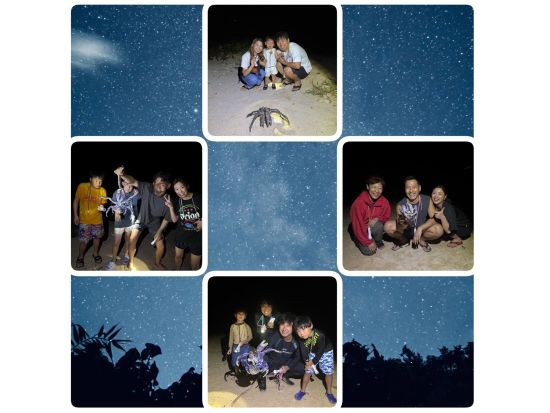 【1組貸切】ヤシガニ＆星空ナイトツアー 巨大ヤシガニ探索と満天の星空体験＜石垣島＞