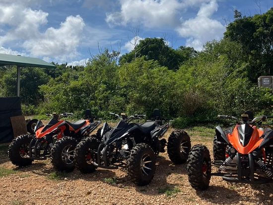 LINE_ALBUM_atv_250209_11_original