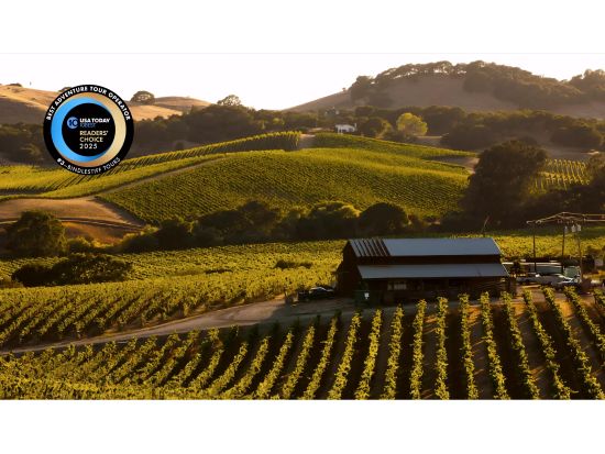 4泊5日ソノマバレーワイナリーツアー　ハイドラン・メダリー＆カポ・クリーク・ワイナリー＜6～10月／英語ガイド＞