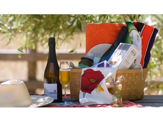 4泊5日ソノマバレーワイナリーツアー　ハイドラン・メダリー＆カポ・クリーク・ワイナリー＜6～10月／英語ガイド＞