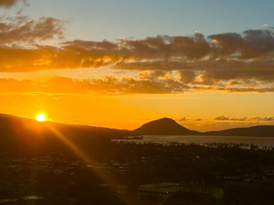 〈土曜日限定/KCCファーマーズマーケット開催日〉ダイヤモンドヘッド片道シャトル
