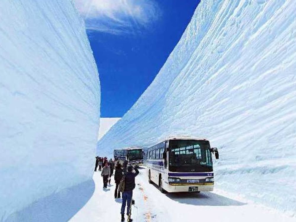 雪の大谷(イメージ) ※雪壁の高さは時季により異なります