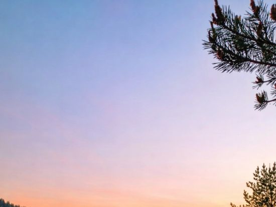 北極圏の森を大満喫！1泊2日アドベンチャーツアー　サウナ付き ＜食事付き／ロヴァニエミ発＞